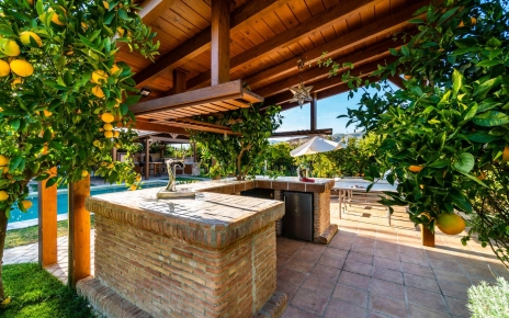 Bar junto a la piscina, con fregadero, 2 neveras y grifo de cerveza